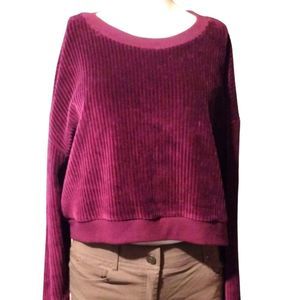 Velvety Crop Top Long Sleeve Ribbed Burgundy Size Large Rue 21 stretchy